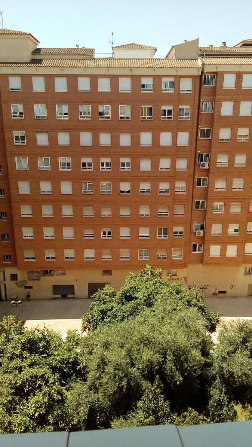 דירות Castellón de la Plana Piso Acogedor Y Alegre En Castellon מראה חיצוני תמונה